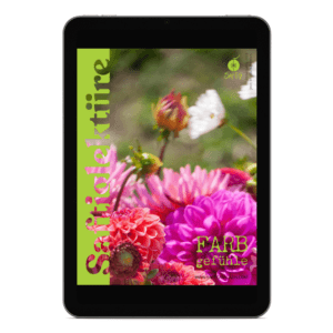 eBook Farbgefühle Cover auf Tablet